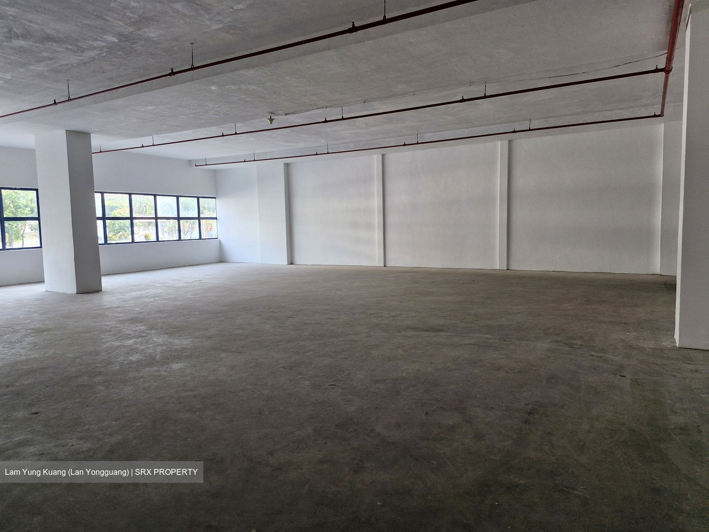 Loyang Industrial Estate (D17), Factory #505498951